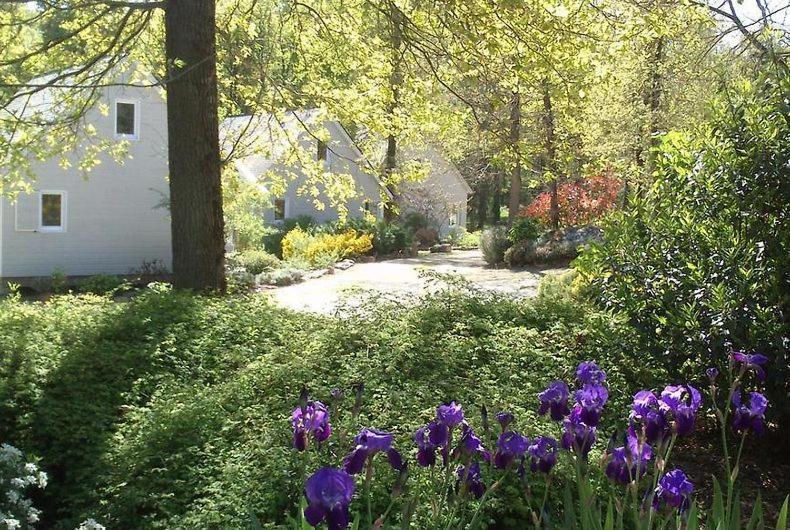 Les Chalets De Saumur, Piscine & Parc Boise, 100M Du Cadrenoir エクステリア 写真