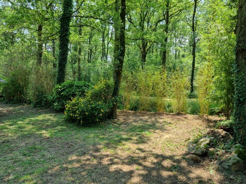Les Chalets De Saumur, Piscine & Parc Boise, 100M Du Cadrenoir エクステリア 写真