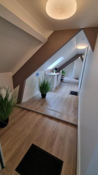 Les Chalets De Saumur, Piscine & Parc Boise, 100M Du Cadrenoir 部屋 写真