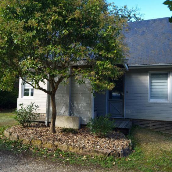 Les Chalets De Saumur, Piscine & Parc Boise, 100M Du Cadrenoir エクステリア 写真